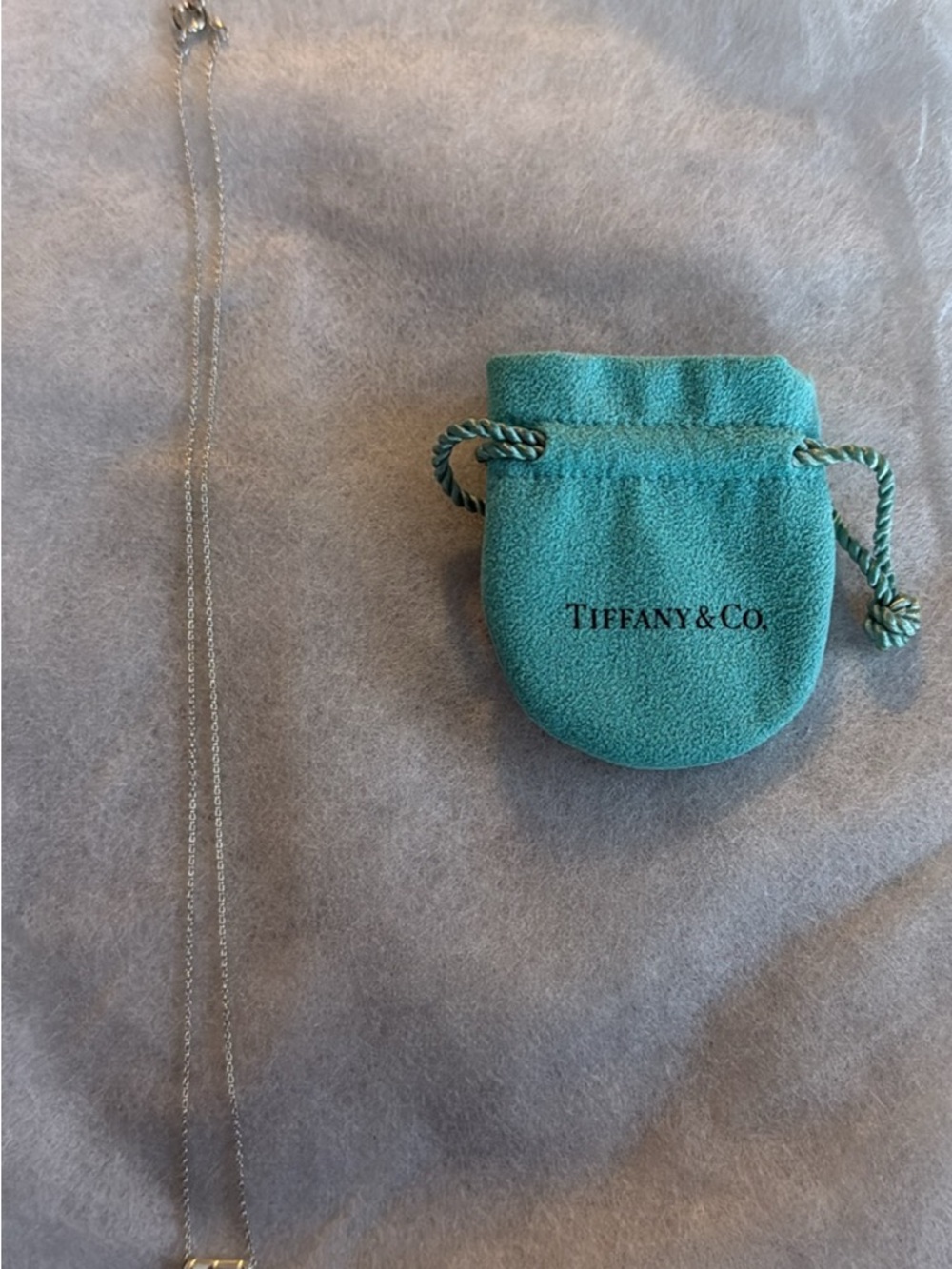 Tiffany & Co. Silver Bean Pendant Necklace with Tiffany Pouch